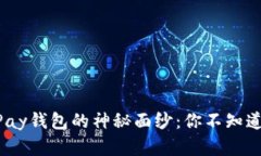 揭开虚拟币OKPay钱包的神秘面纱：你不知道的功能