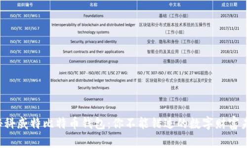 揭秘科威特比特币钱包：你不能错过的数字财富未来！