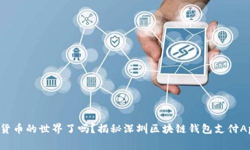 你准备好踏入数字货币的世界了吗?揭秘深圳区块链钱包支付App搭建费用的真相!