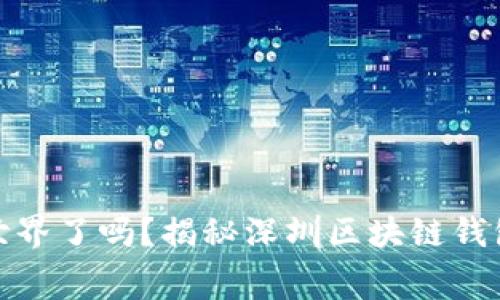 你准备好踏入数字货币的世界了吗?揭秘深圳区块链钱包支付App搭建费用的真相!