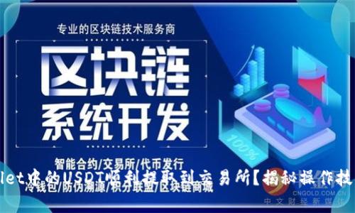 如何将TPWallet中的USDT顺利提取到交易所?揭秘操作技巧与注意事项