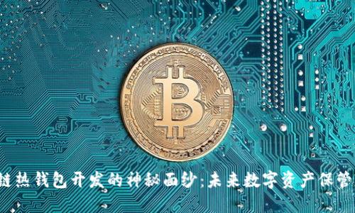 揭开区块链热钱包开发的神秘面纱:未来数字资产保管的新选择?