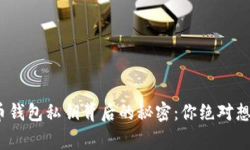 310个比特币钱包私钥背后的秘密:你绝对想不到的故事!