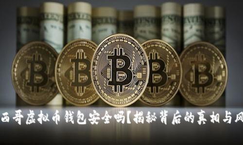 墨西哥虚拟币钱包安全吗?揭秘背后的真相与风险