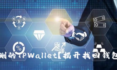 如何找回误删的TPWallet？揭开找回钱包的神秘面纱