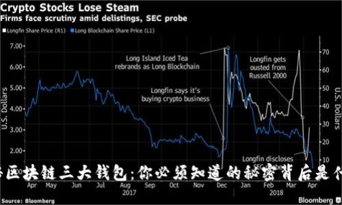 揭秘区块链三大钱包:你必须知道的秘密背后是什么?
