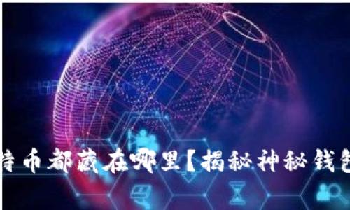 大佬们的比特币都藏在哪里？揭秘神秘钱包背后的故事